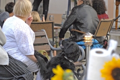 DSC_0106ps_rl_2560