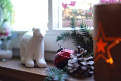 DSC06257ps_rl1_1920